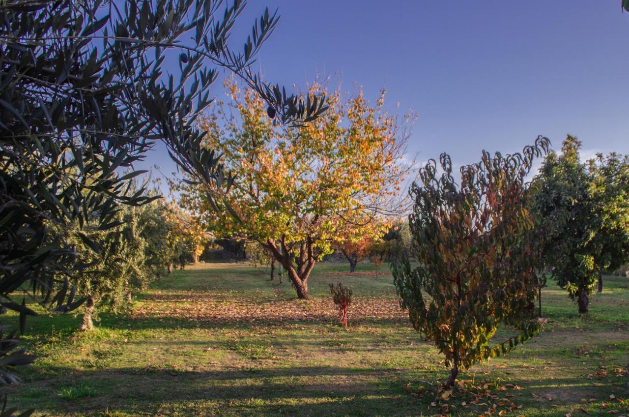 Finca Fisterra Maipu  Exterior photo